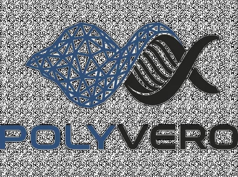 PolyVero logo featuring a stylized DNA double helix in blue and black with text below